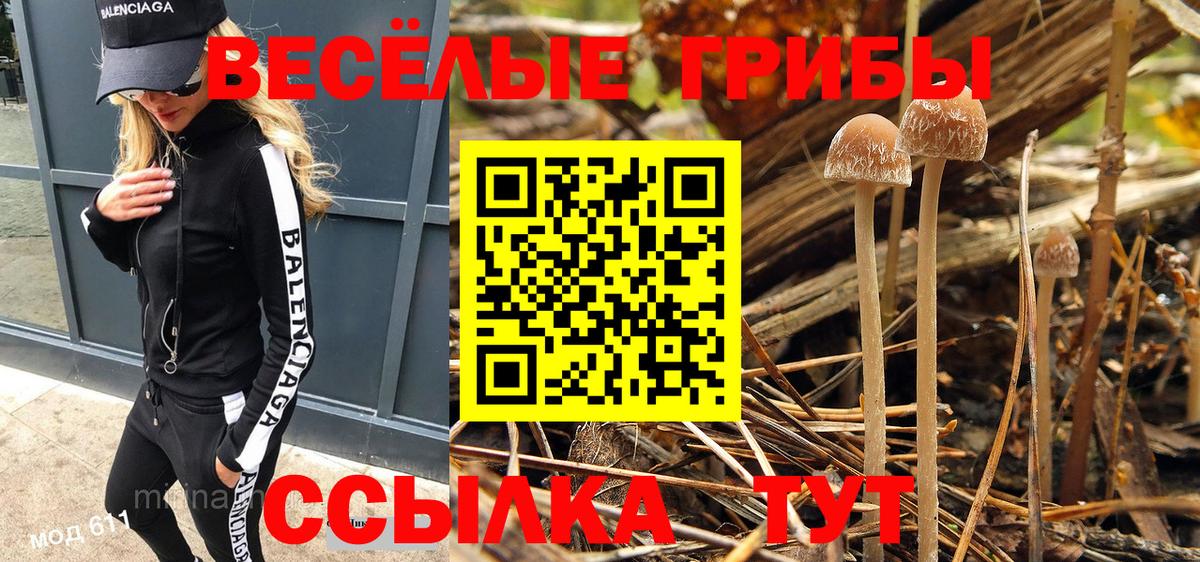 Псилоцибиновые грибы Psilocybine cubensis  Вход с VPN  Бузулук 