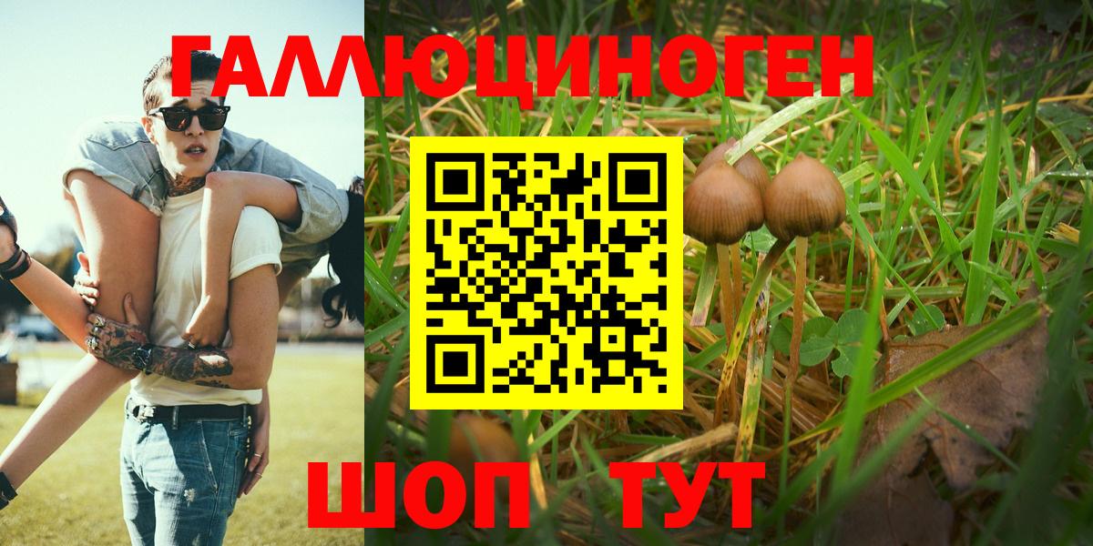 Псилоцибиновые грибы ЛСД Бузулук